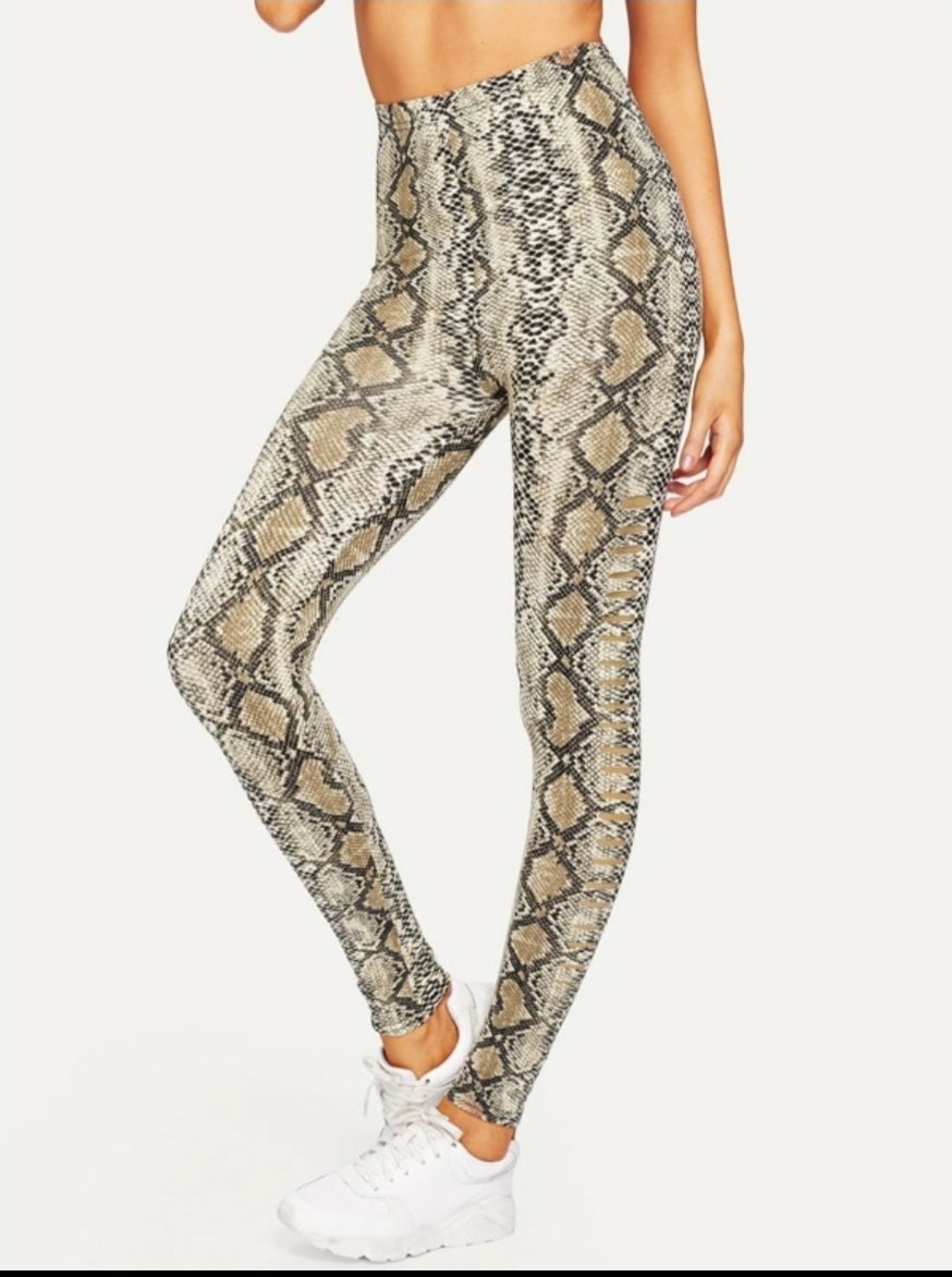 • Python• Leggings