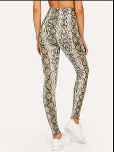 • Python• Leggings