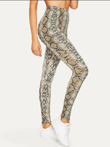 • Python• Leggings